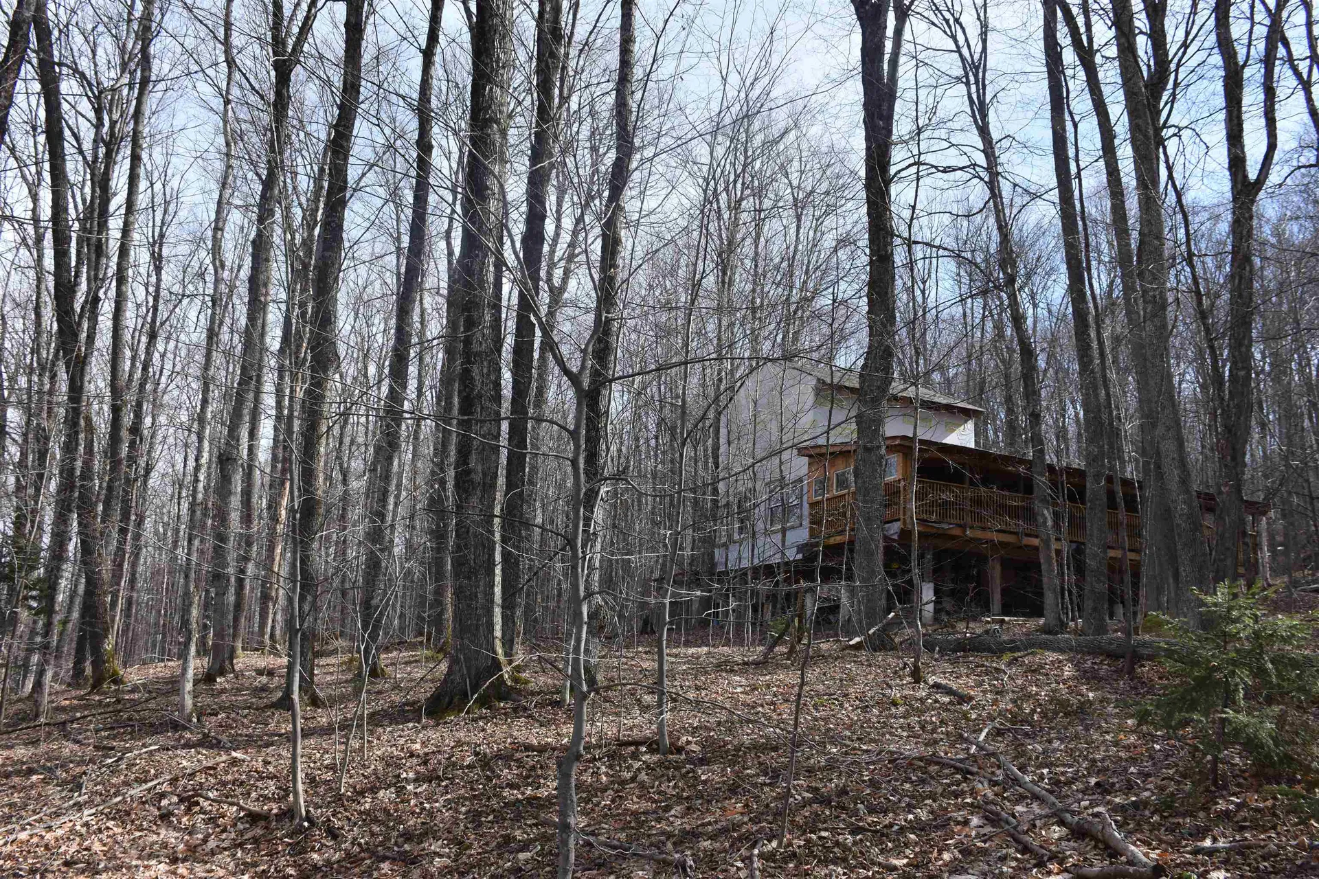 397 Winch Hill Extension Roxbury VT 05663