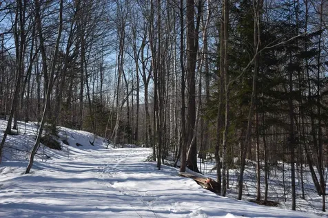 397 Winch Hill Extension Roxbury VT 05663