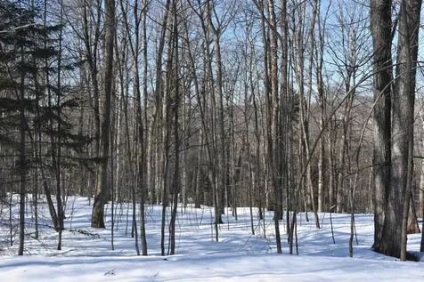 397 Winch Hill Extension Roxbury VT 05663