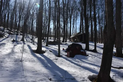 397 Winch Hill Extension Roxbury VT 05663