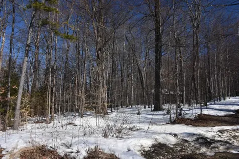 397 Winch Hill Extension Roxbury VT 05663