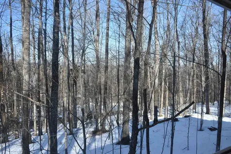 397 Winch Hill Extension Roxbury VT 05663