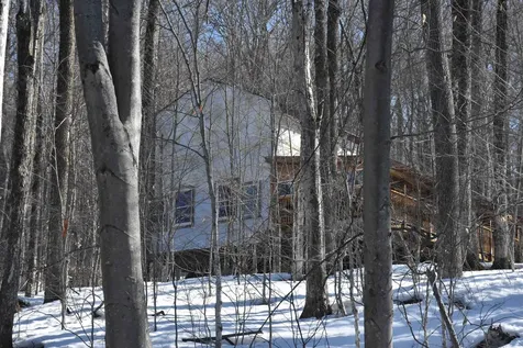 397 Winch Hill Extension Roxbury VT 05663