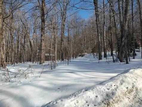 397 Winch Hill Extension Roxbury VT 05663