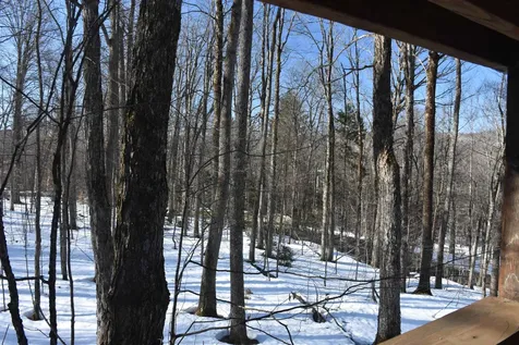 397 Winch Hill Extension Roxbury VT 05663