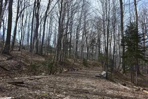 397 Winch Hill Extension Roxbury VT 05663