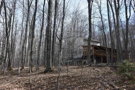 397 Winch Hill Extension Roxbury VT 05663