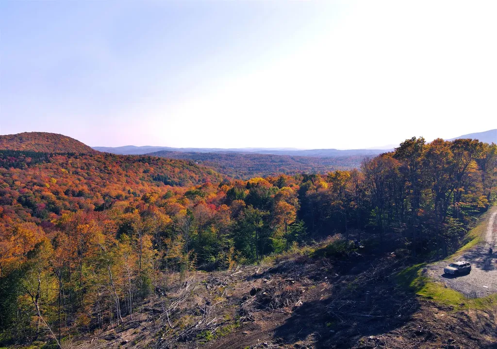 10 Overlook Drive Dover VT 05356