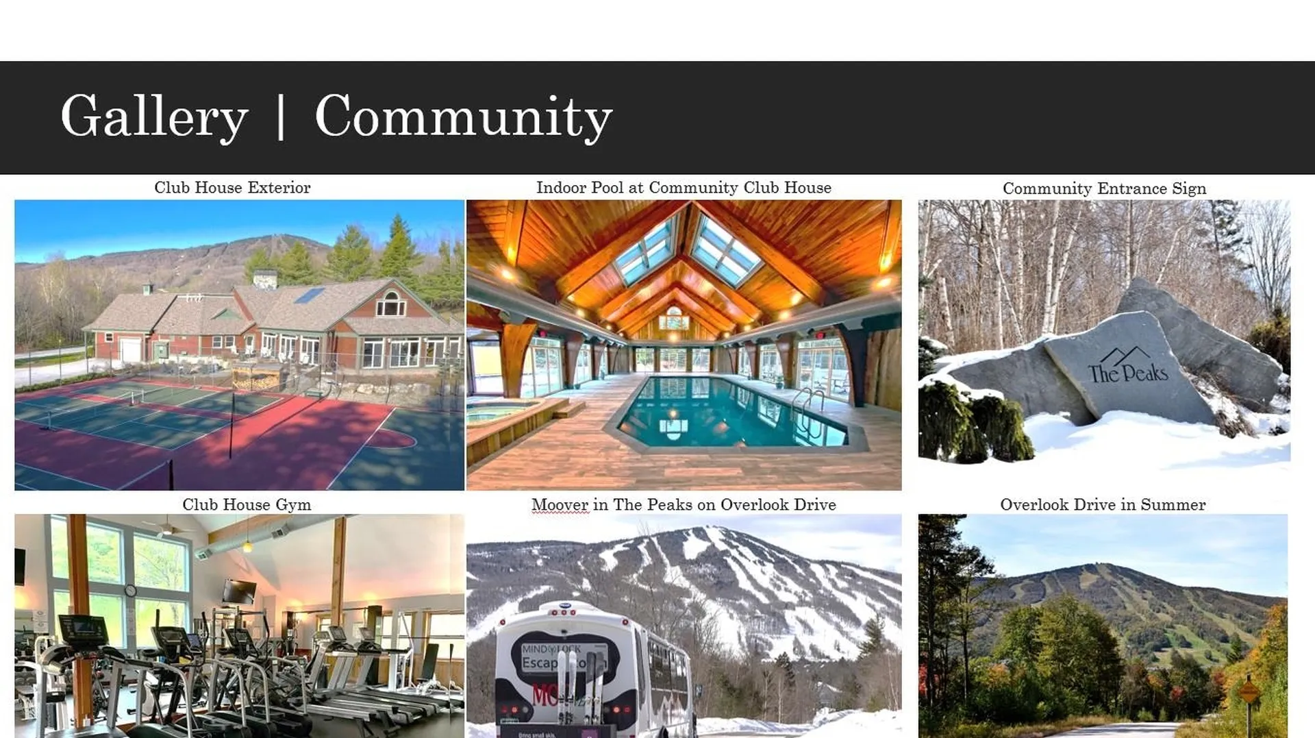 10 Overlook Drive Dover VT 05356