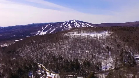 10 Overlook Drive Dover VT 05356