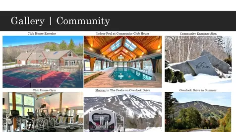 10 Overlook Drive Dover VT 05356