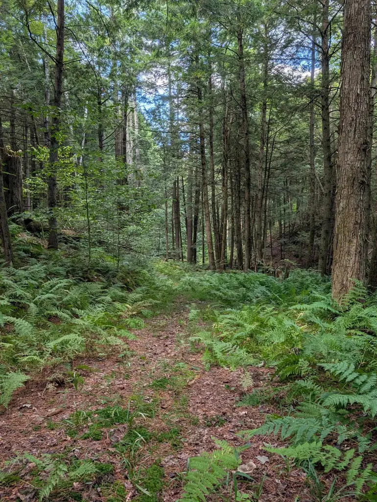 83 Deer Run Lane Westford VT 05494