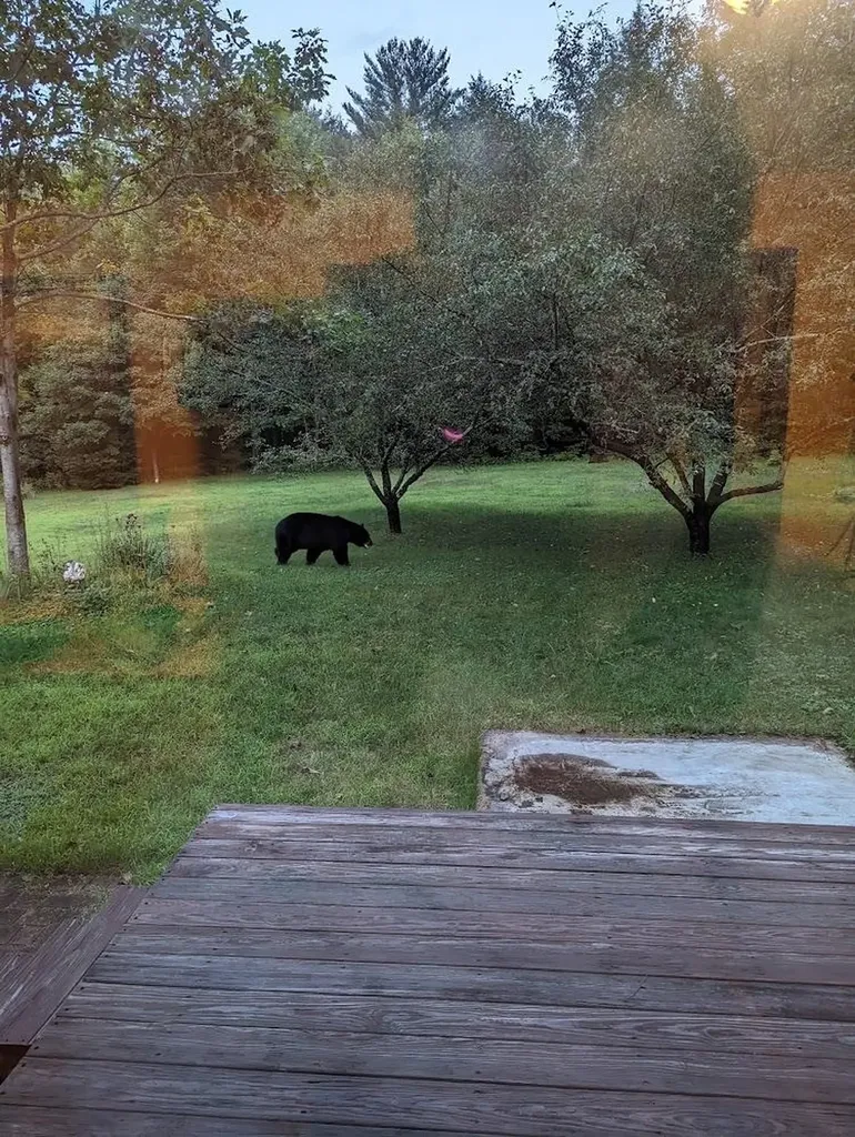 83 Deer Run Lane Westford VT 05494