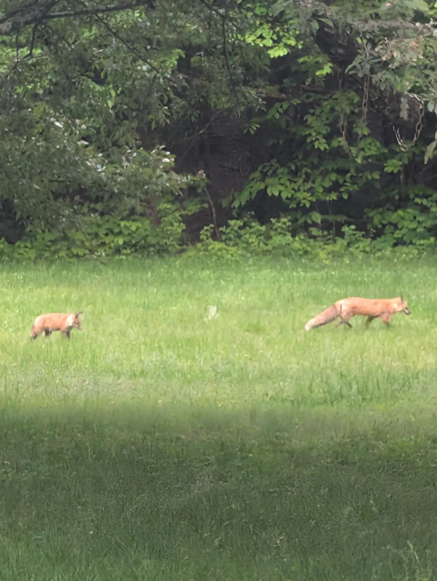 83 Deer Run Lane Westford VT 05494