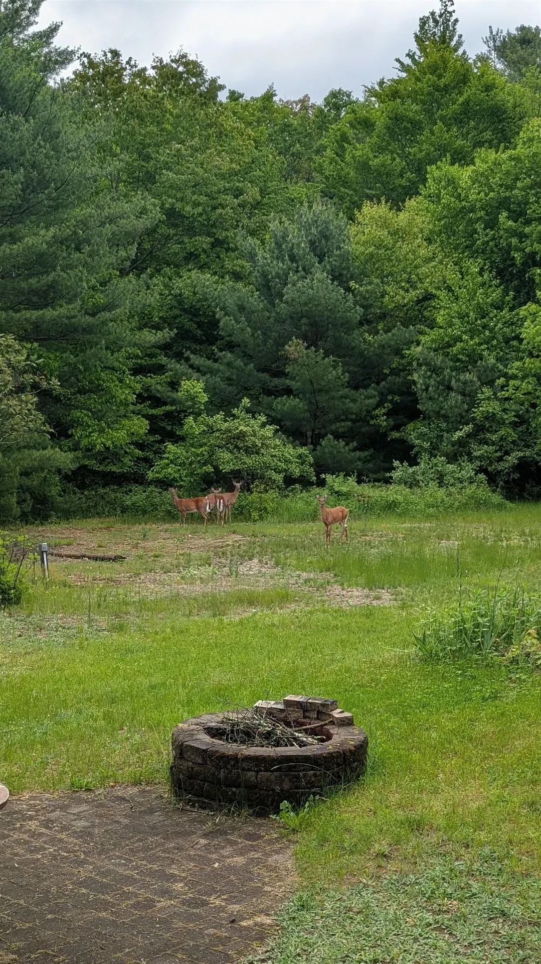 83 Deer Run Lane Westford VT 05494