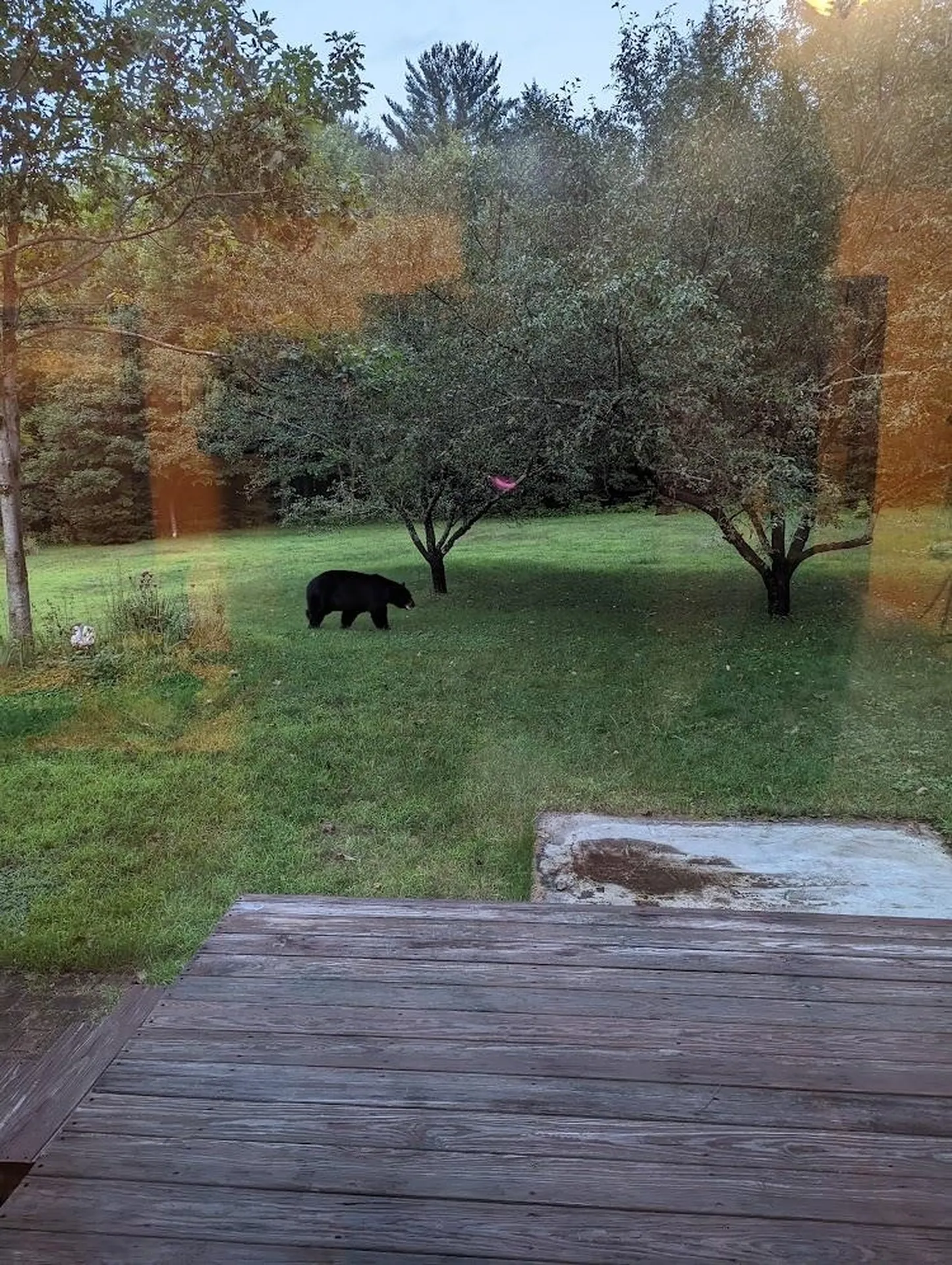 83 Deer Run Lane Westford VT 05494