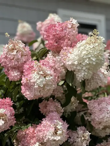 118 Sawyer Hill Road Canaan NH 03741