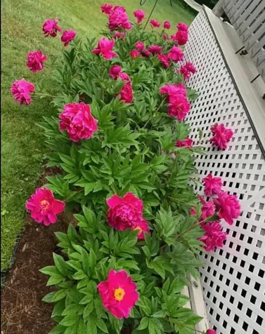 169 Main Street Atkinson NH 03811