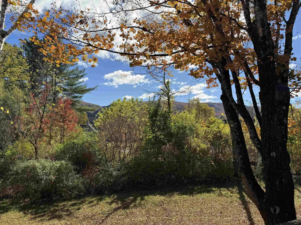 80 Murray Hill South Road Manchester VT 05255
