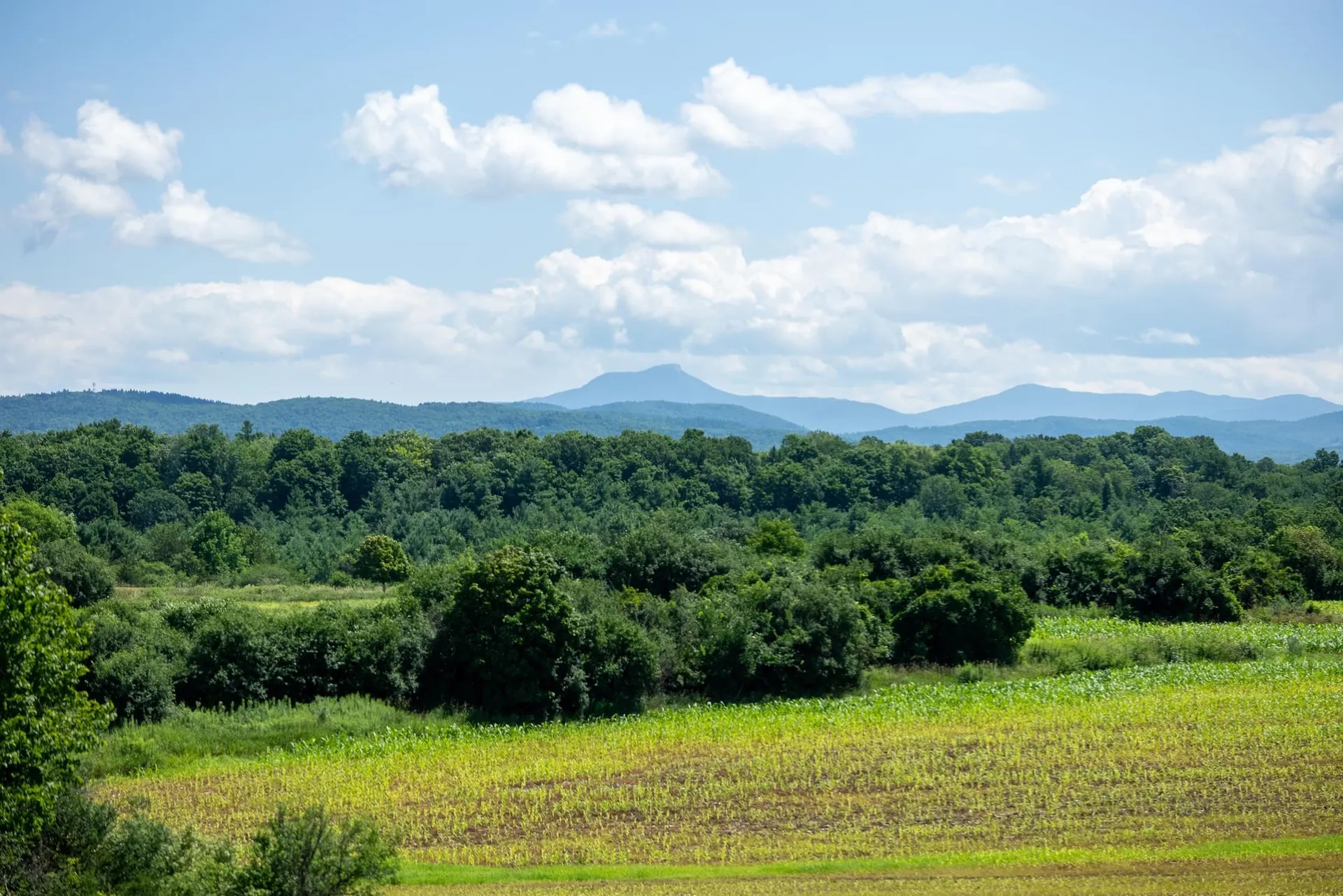 6 Luke Lane Shelburne VT 05482