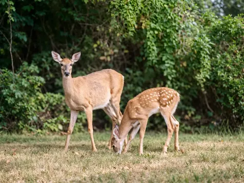 25 Emerson Road Durham NH 03824