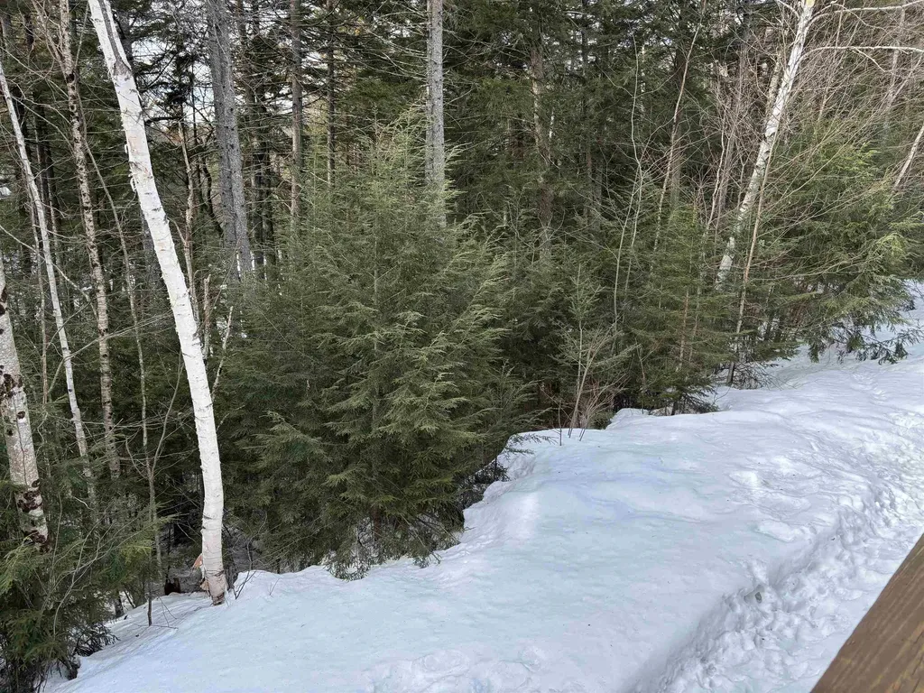 28 Tyler Spring Way Waterville Valley NH 03215