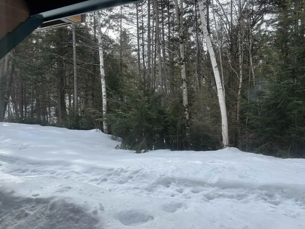 28 Tyler Spring Way Waterville Valley NH 03215