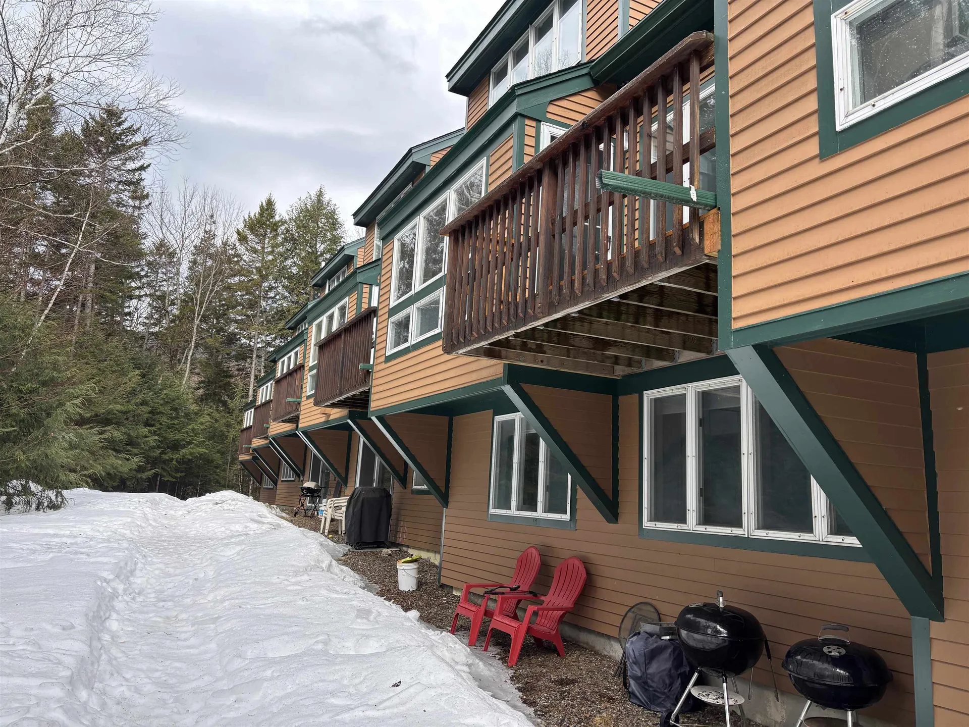 28 Tyler Spring Way Waterville Valley NH 03215