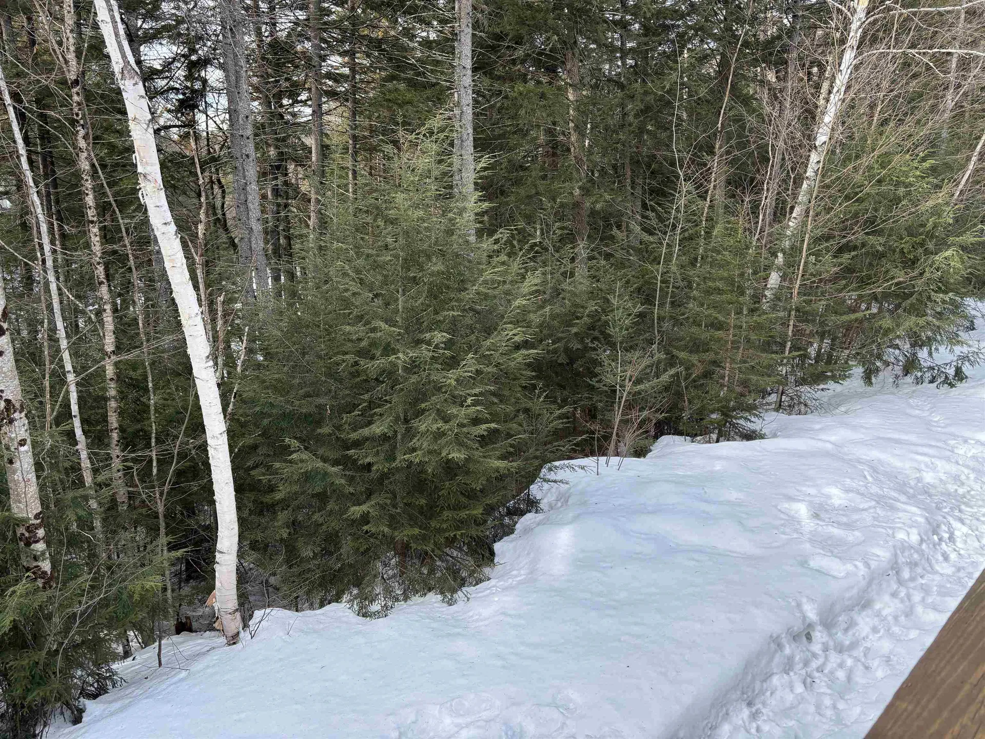 28 Tyler Spring Way Waterville Valley NH 03215