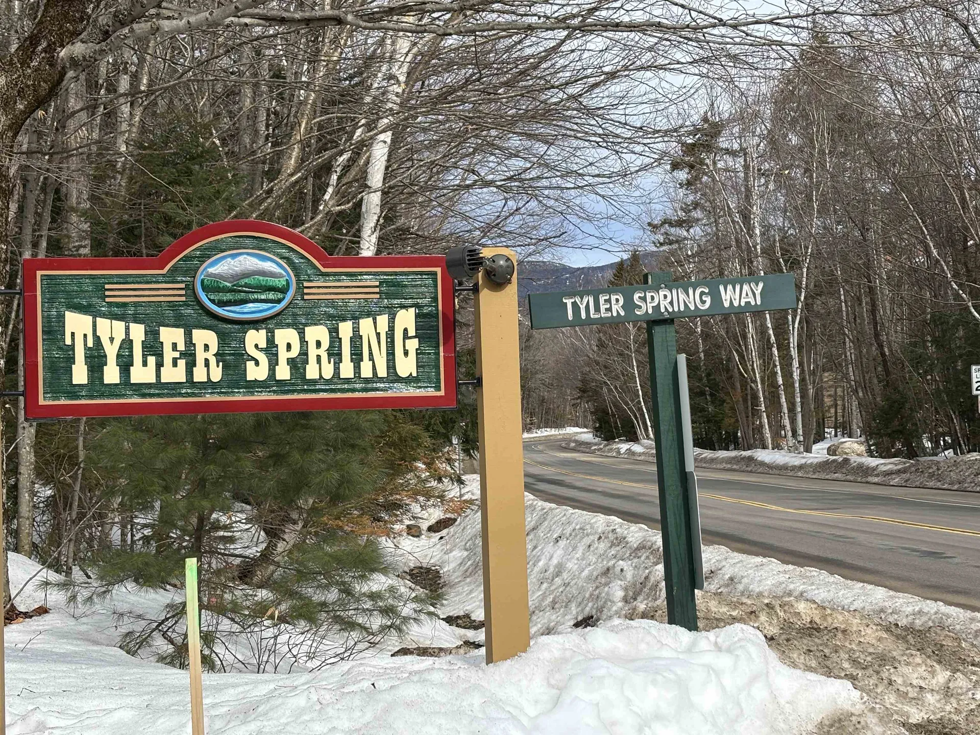 28 Tyler Spring Way Waterville Valley NH 03215