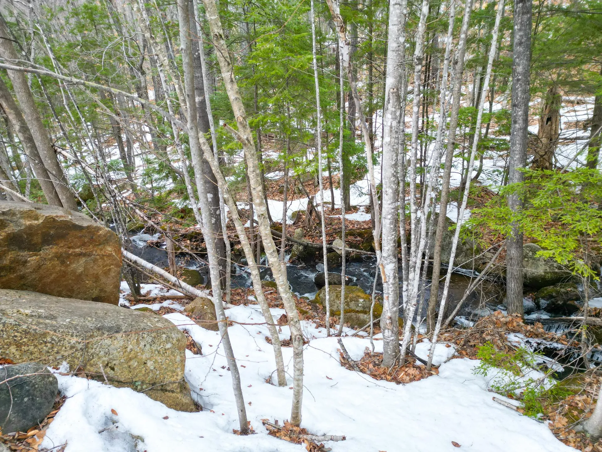 F21 Christmas Mountain Road Bartlett NH 03812