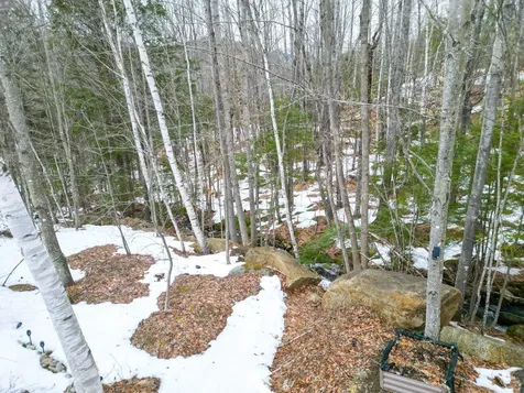 F21 Christmas Mountain Road Bartlett NH 03812