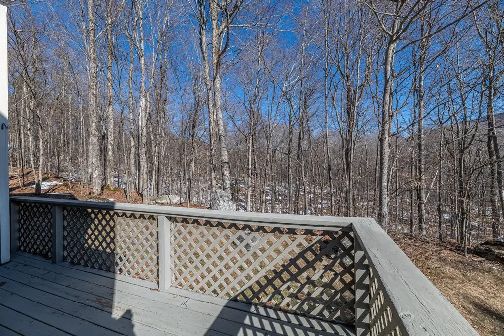 202 Eagle Rise Road Manchester VT 05255