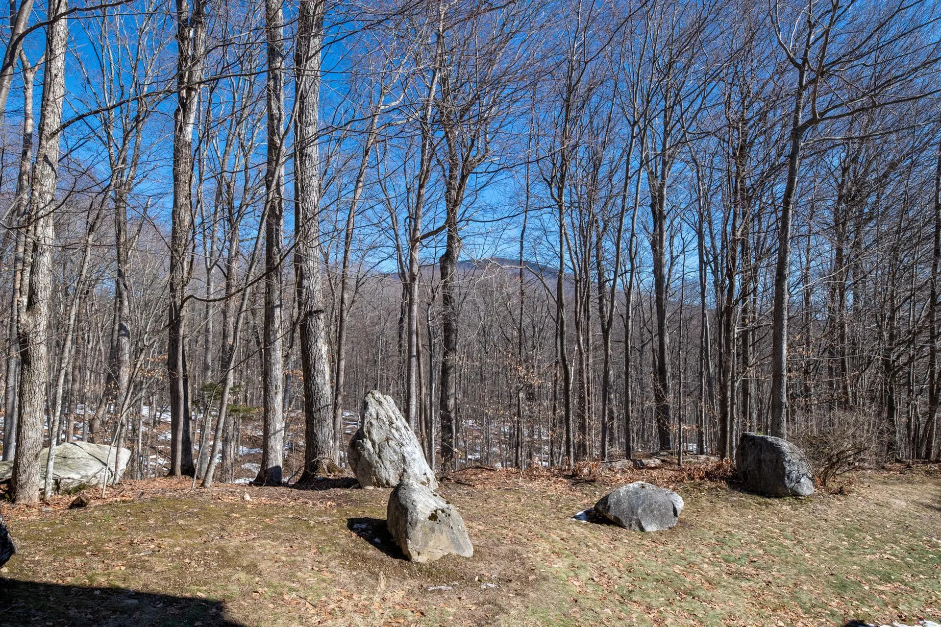 202 Eagle Rise Road Manchester VT 05255