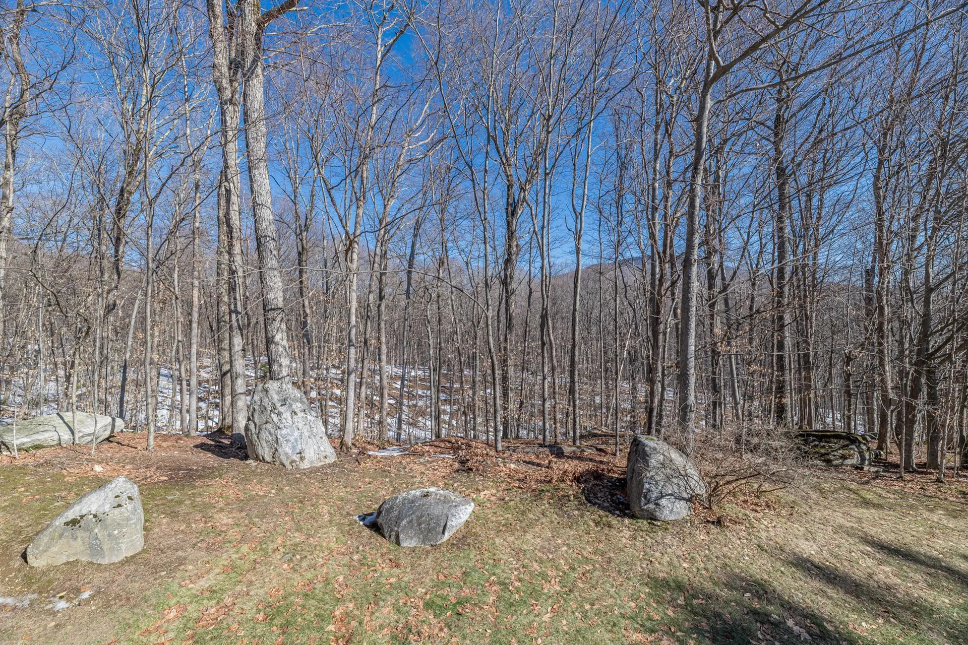 202 Eagle Rise Road Manchester VT 05255