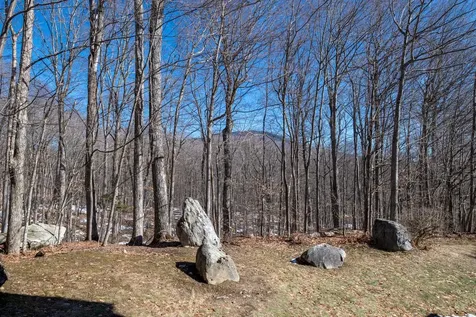 202 Eagle Rise Road Manchester VT 05255