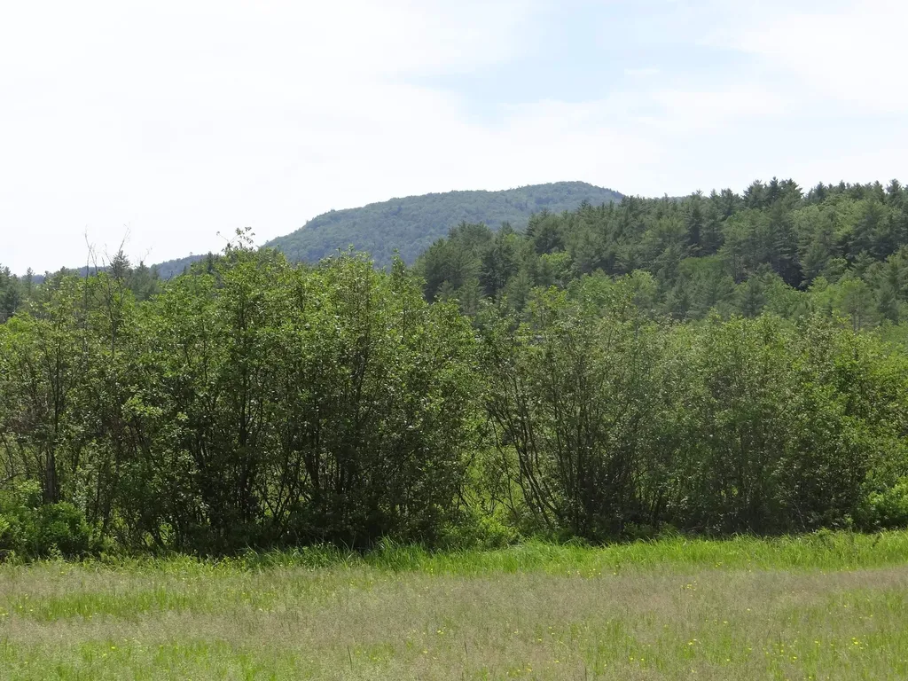 0 Vt Route 131 Weathersfield VT 05030