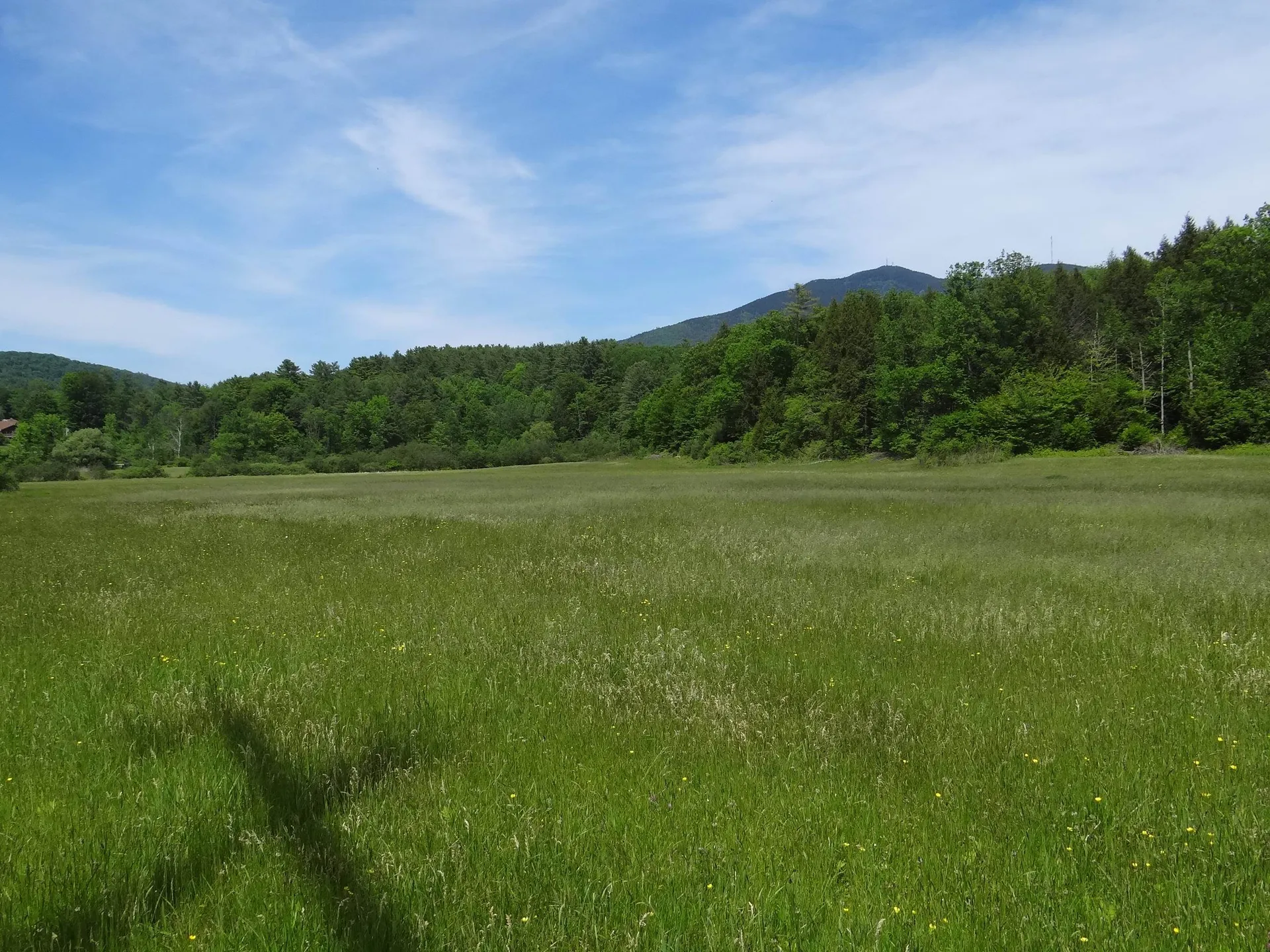 0 Vt Route 131 Weathersfield VT 05030