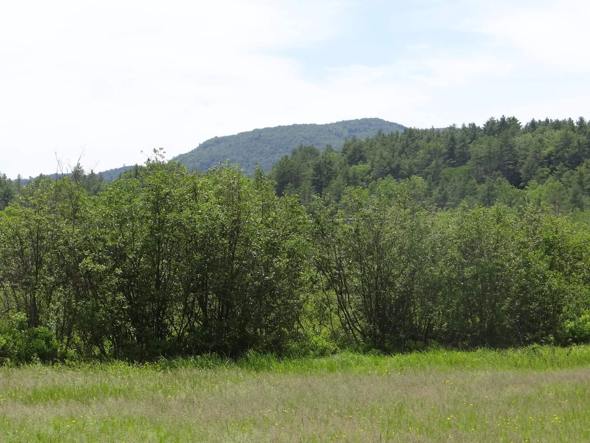 0 Vt Route 131 Weathersfield VT 05030