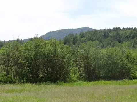 0 Vt Route 131 Weathersfield VT 05030