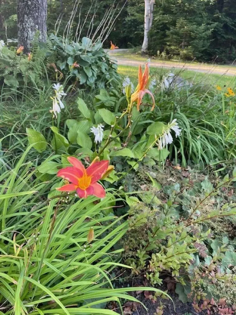 15 Bills Road Stratton VT 05360