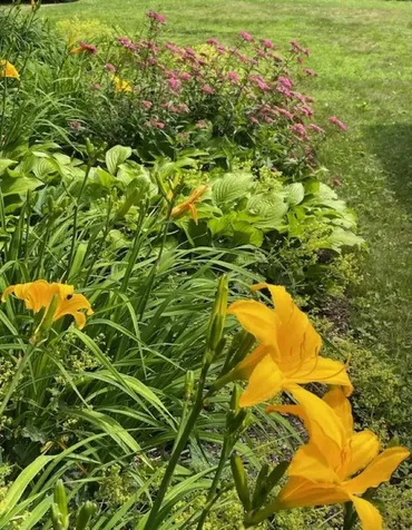 15 Bills Road Stratton VT 05360