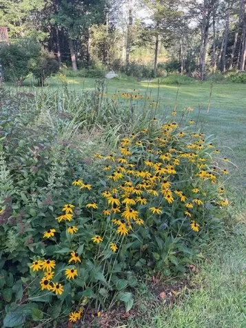 15 Bills Road Stratton VT 05360