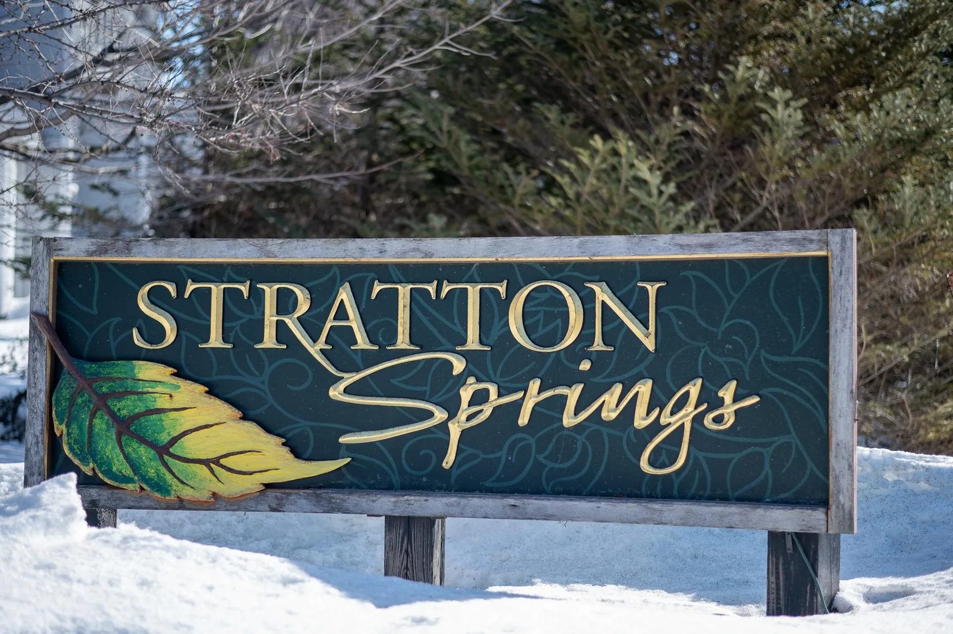3B Stratton Springs Road Stratton VT 05155
