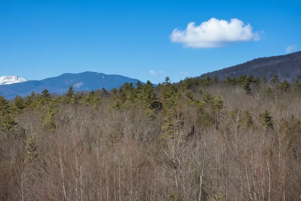 5 Ferry Road Moultonborough NH 03254