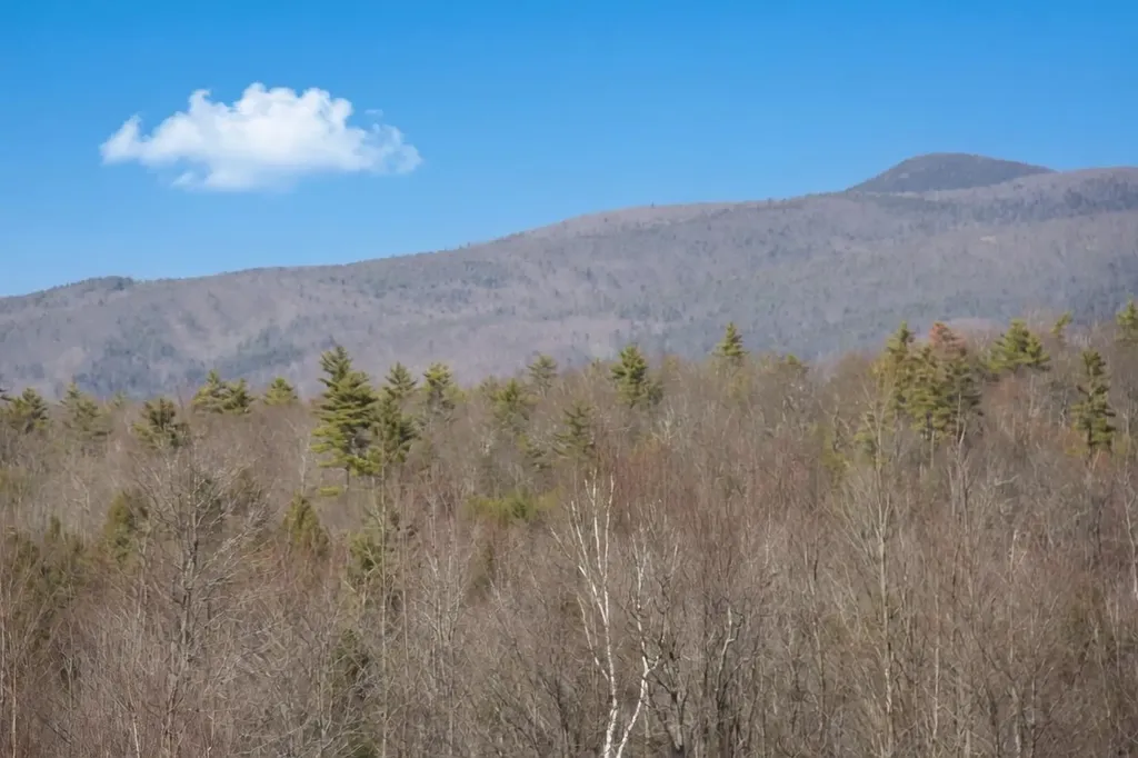 5 Ferry Road Moultonborough NH 03254