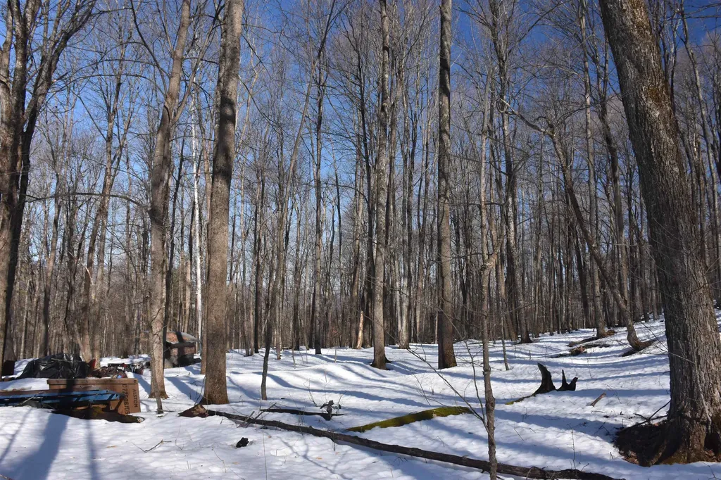 397 Winch Hill Extension Roxbury VT 05663
