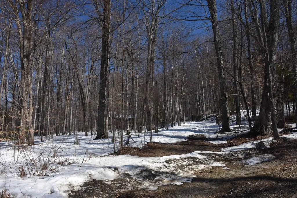 397 Winch Hill Extension Roxbury VT 05663