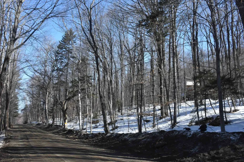 397 Winch Hill Extension Roxbury VT 05663