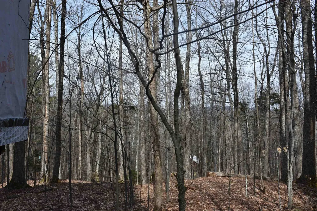 397 Winch Hill Extension Roxbury VT 05663